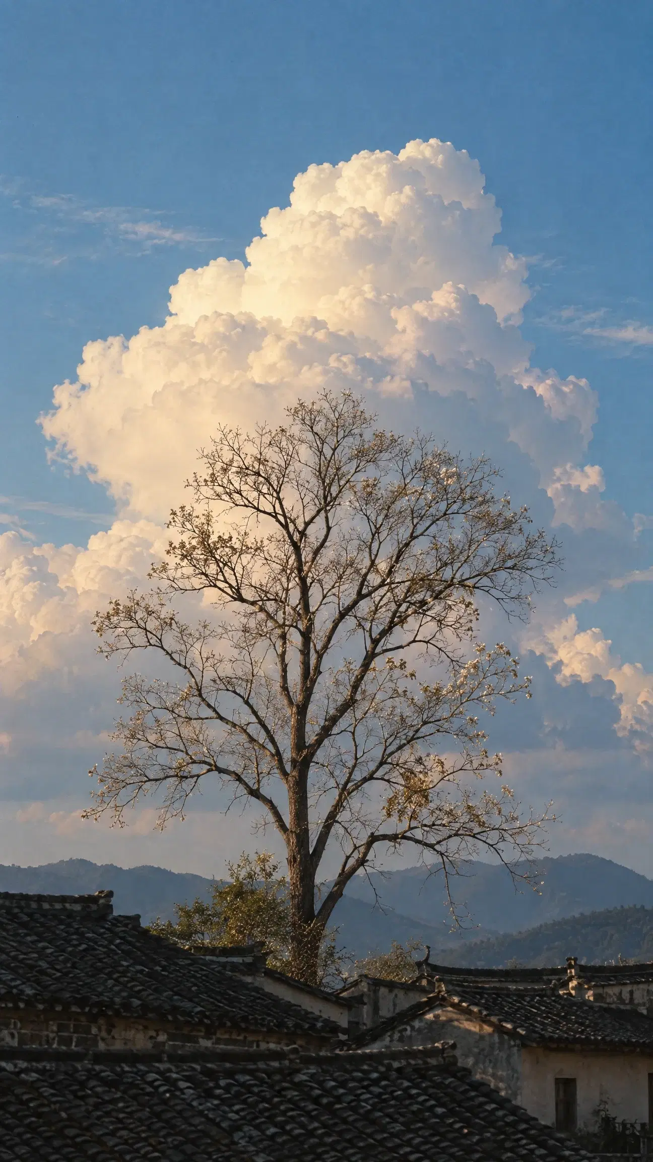 Old Tree Beneath the Clouds - Gallery 2