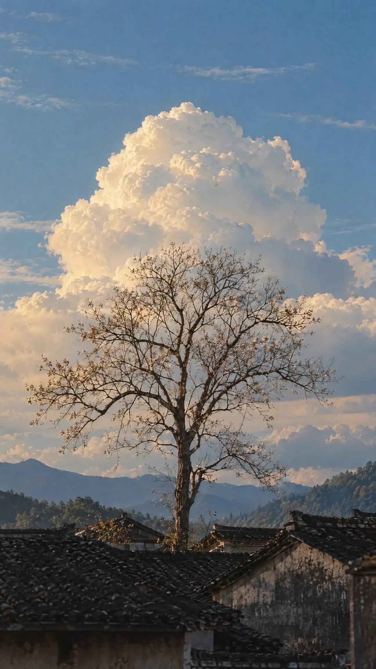 Old Tree Beneath the Clouds - Gallery 3