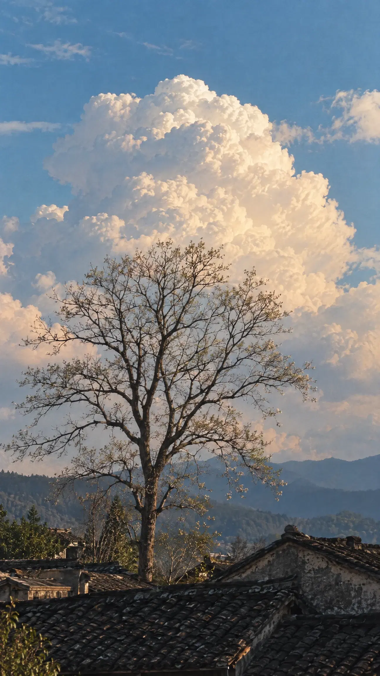 Old Tree Beneath the Clouds - Gallery 1