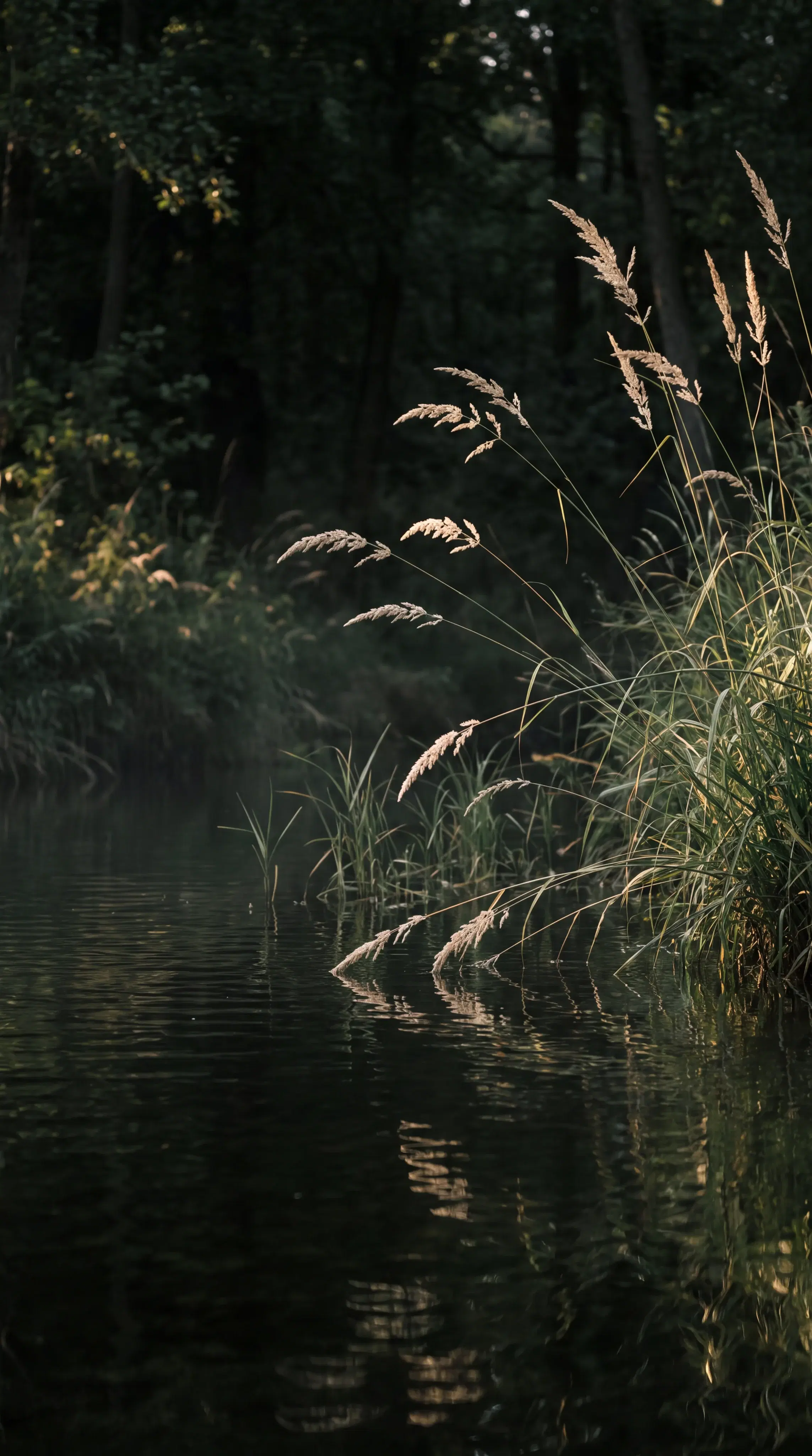 Prompt - Gallery 3