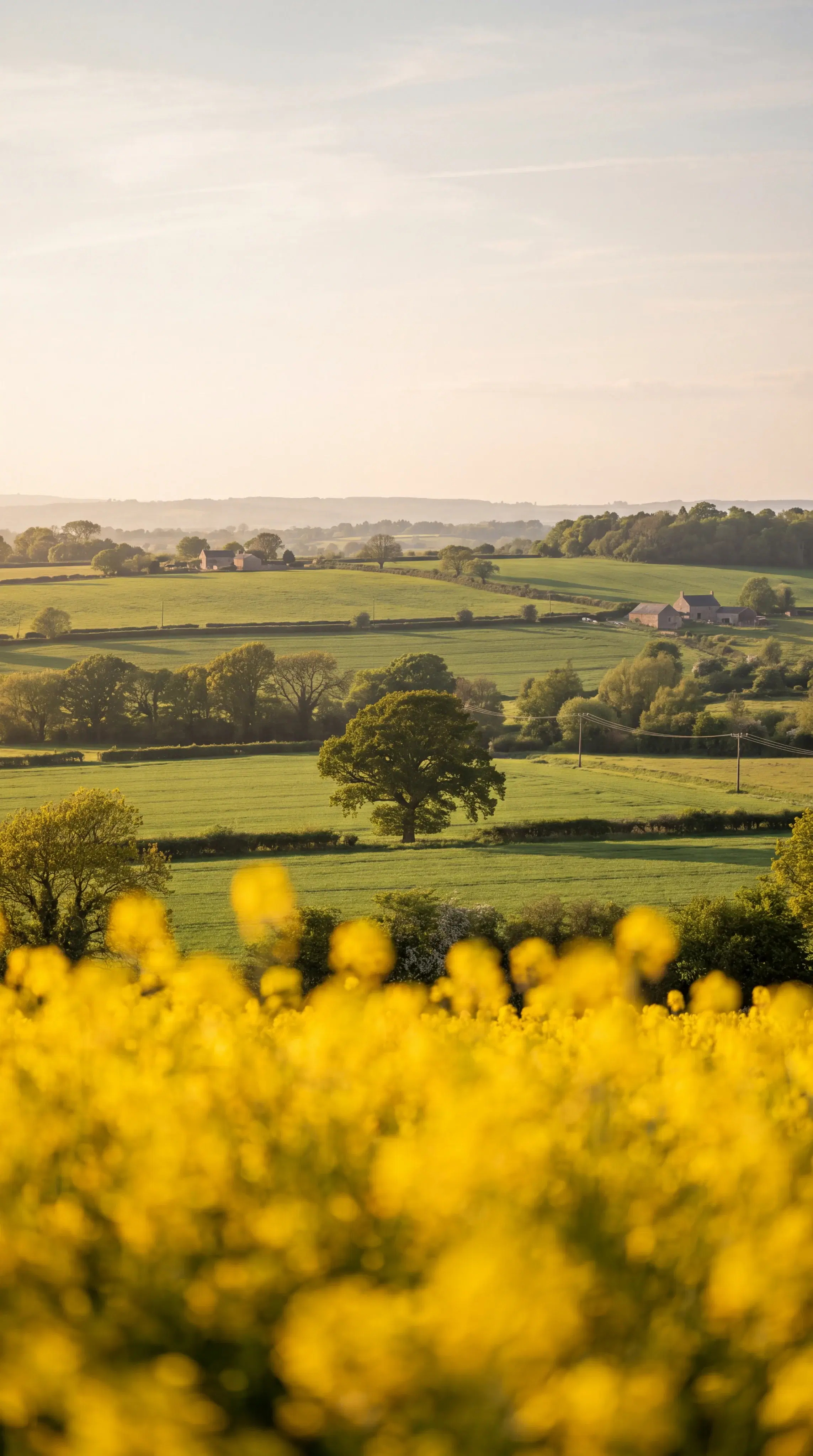 English Countryside Landscape - Gallery 1