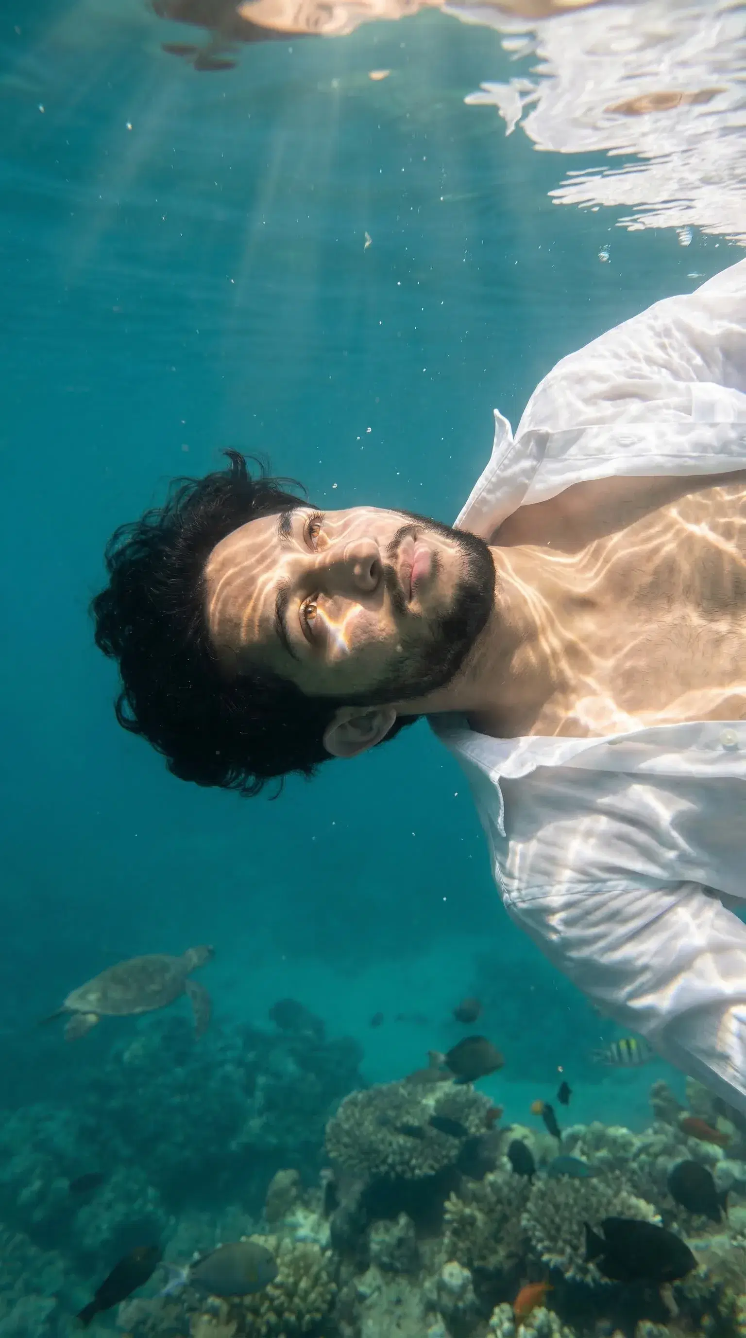 Floating in the Ocean - Gallery 3