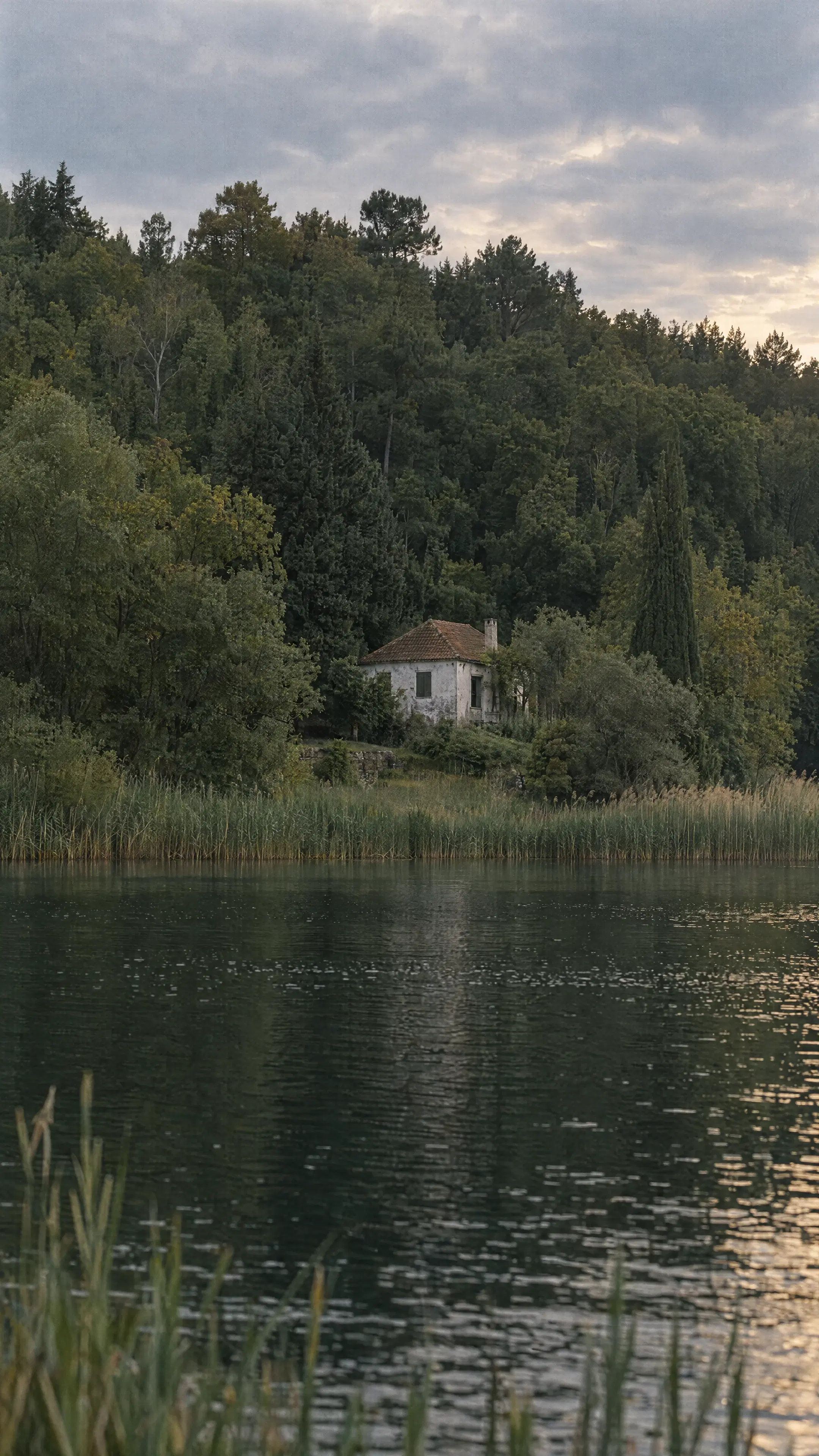Prompt - Gallery 4