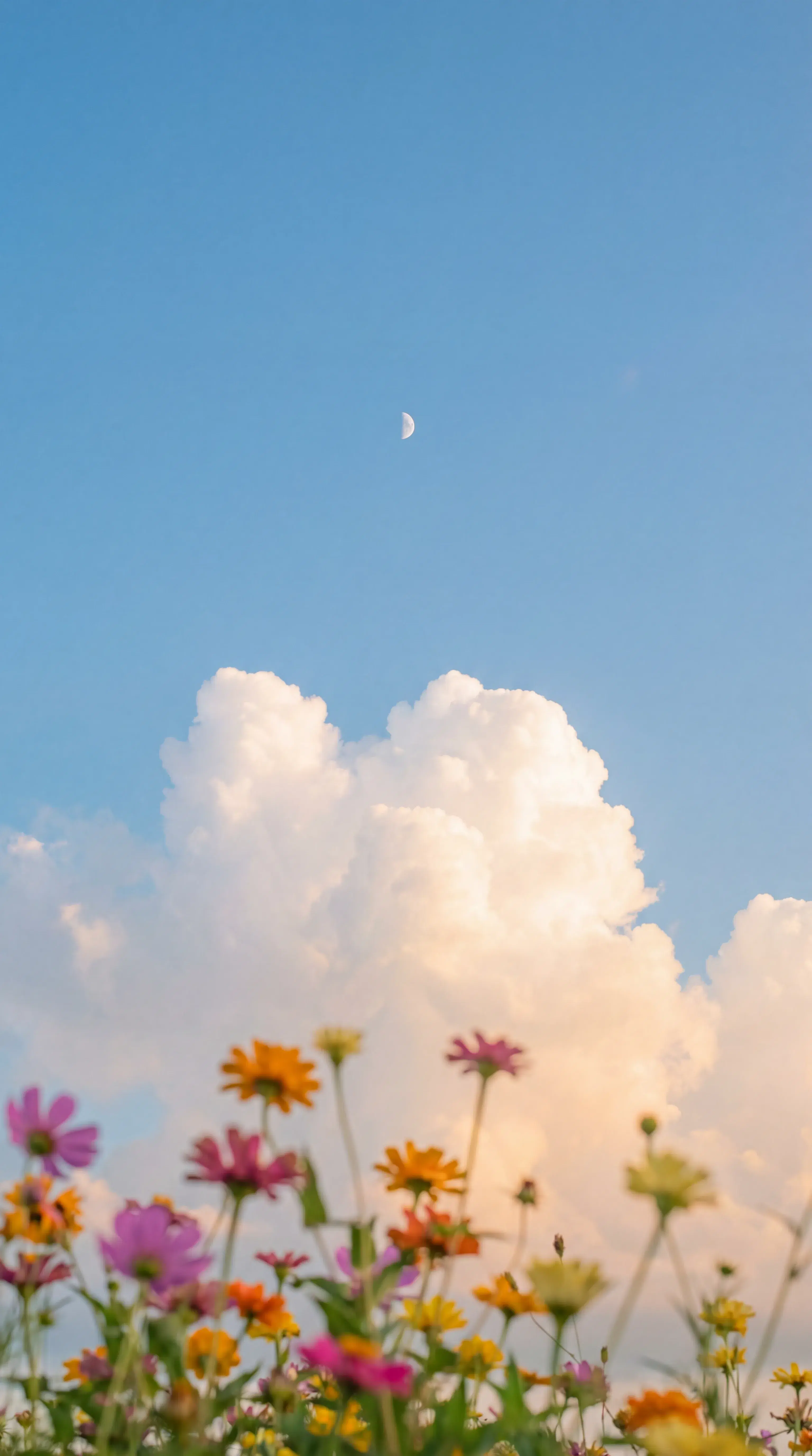 Moonlight Beneath the Clouds Video - Gallery 4
