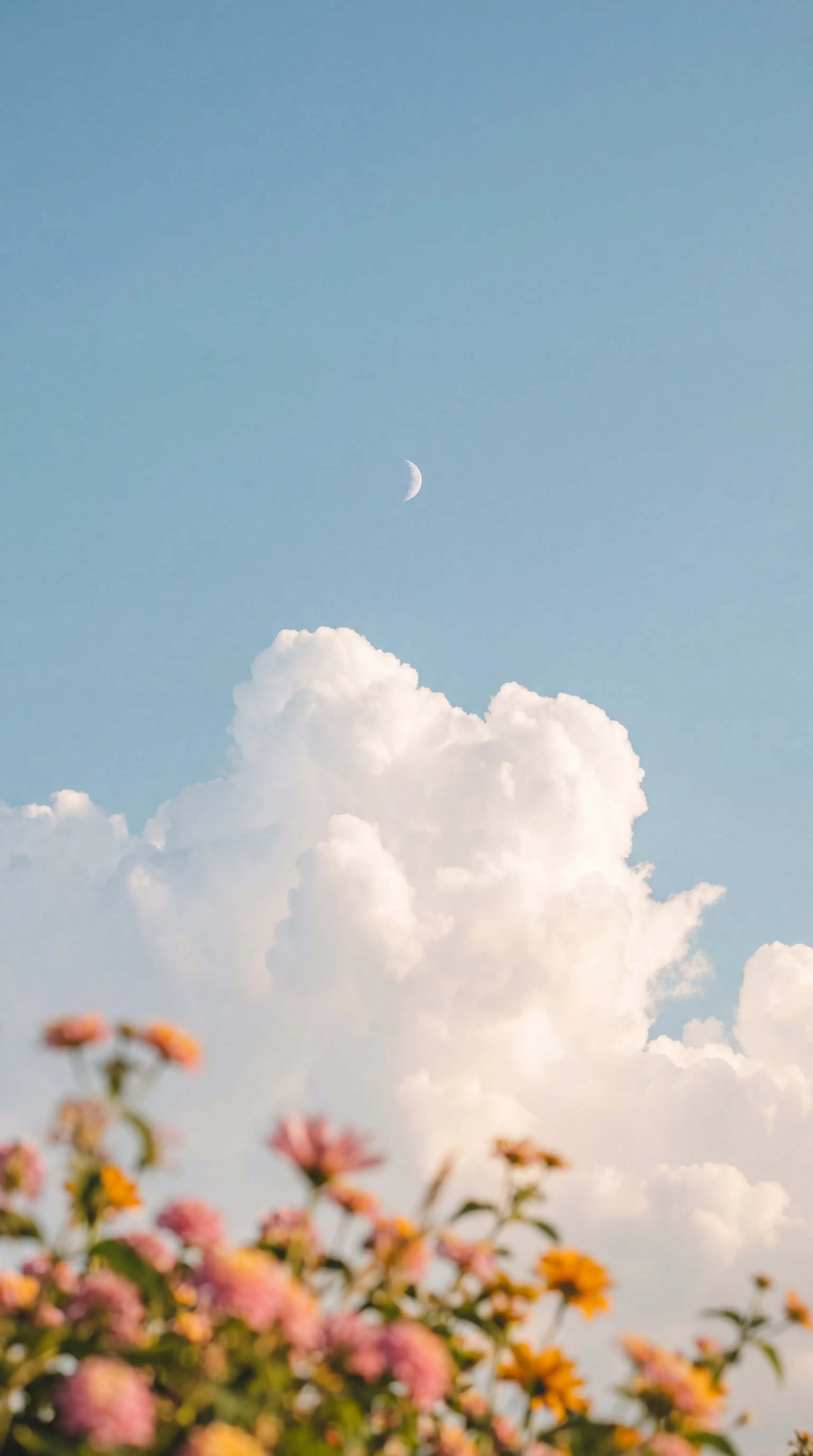 Moonlight Beneath the Clouds Video - Gallery 2