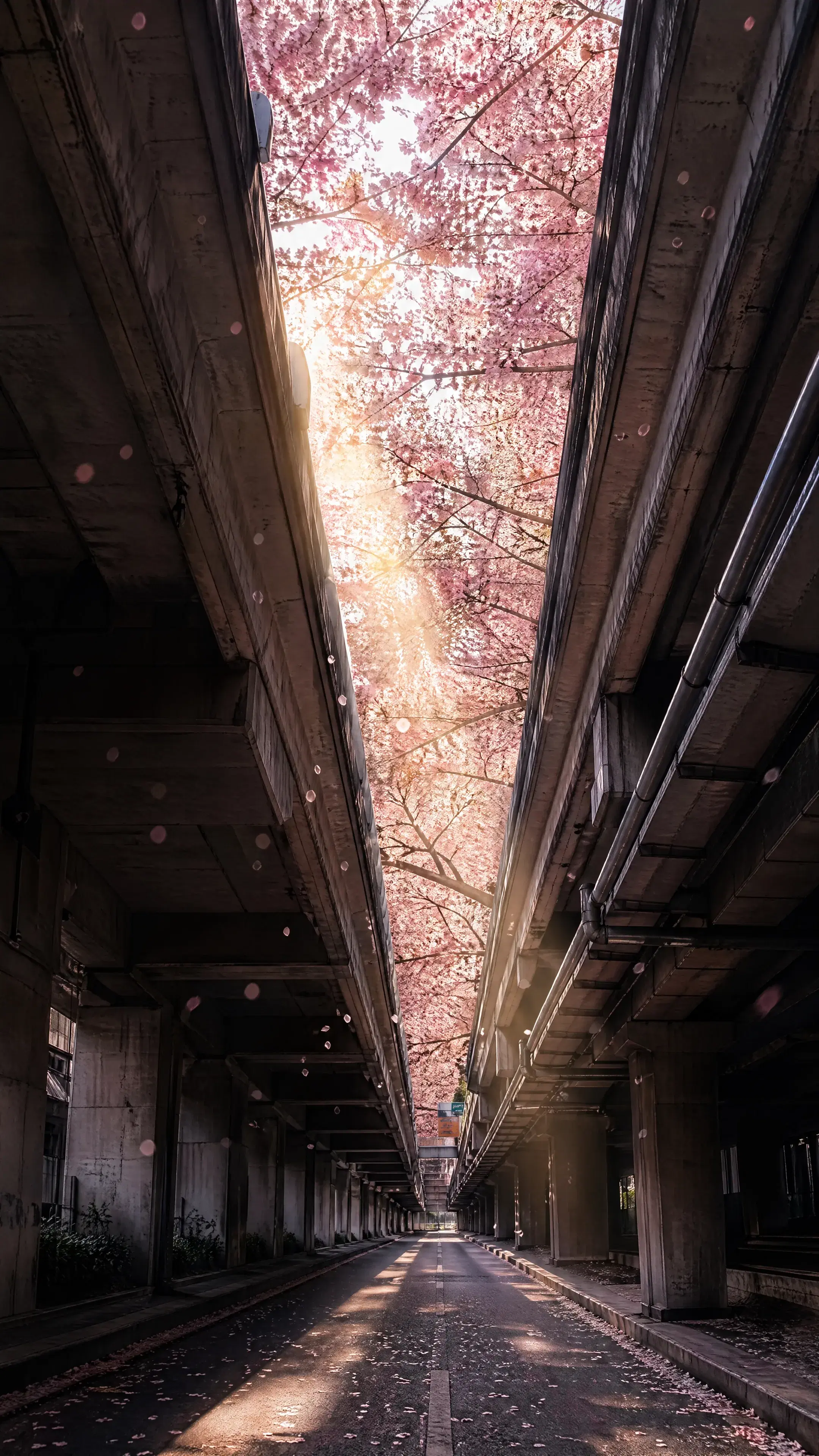 Prompt - Gallery 4