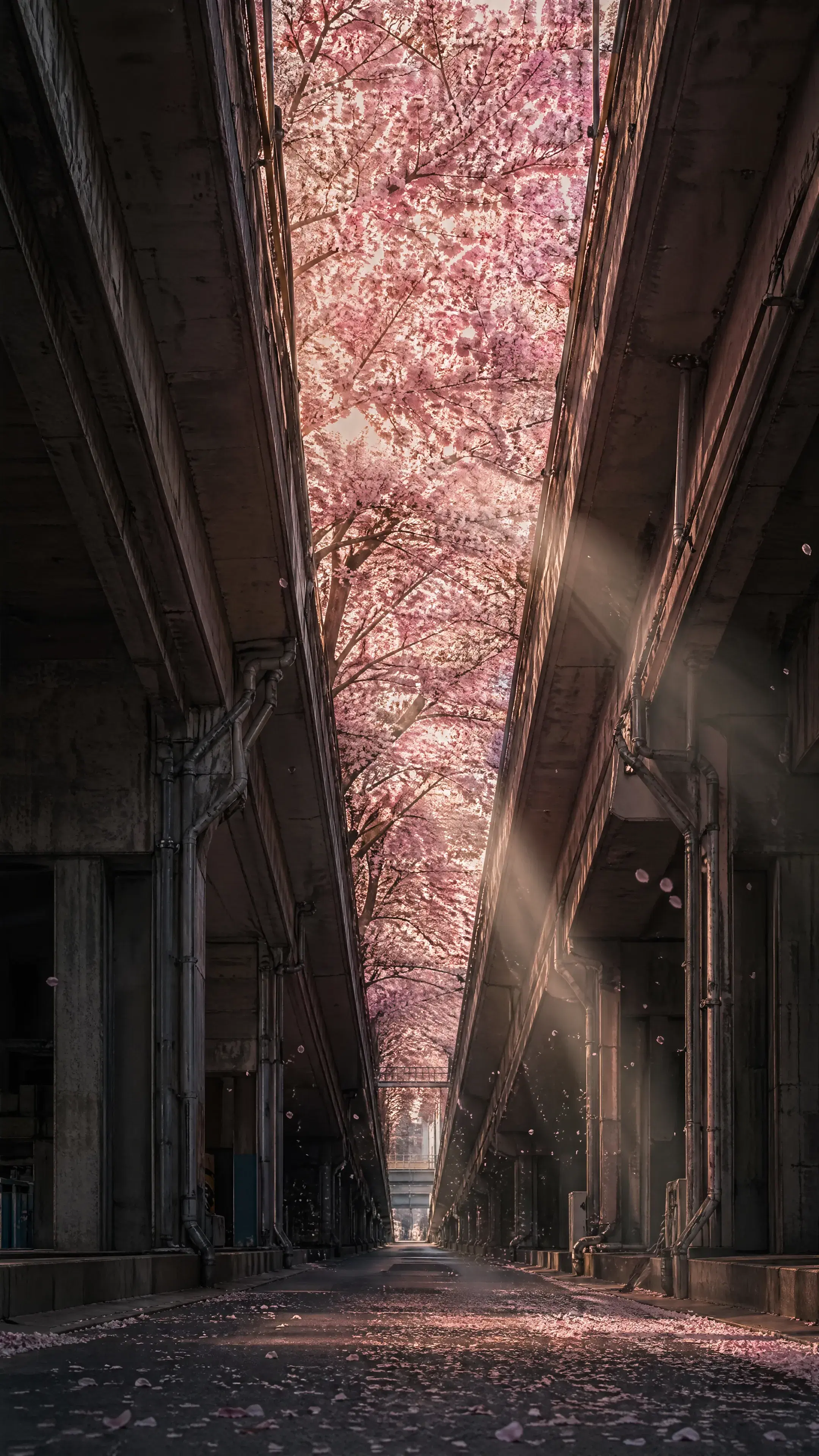 Prompt - Gallery 3